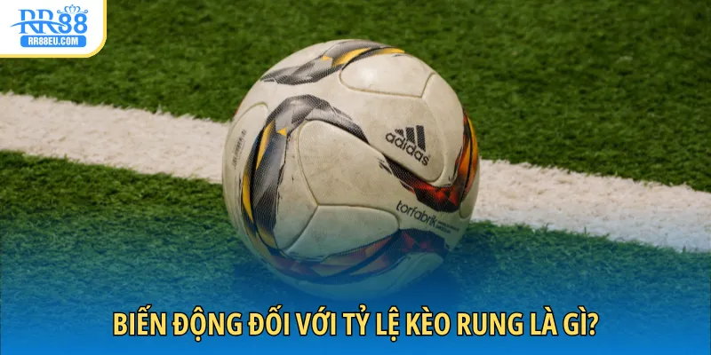 Biến động đối với tỷ lệ kèo rung là gì?