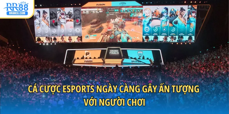 Cá cược Esports ngày càng gây ấn tượng với người chơi