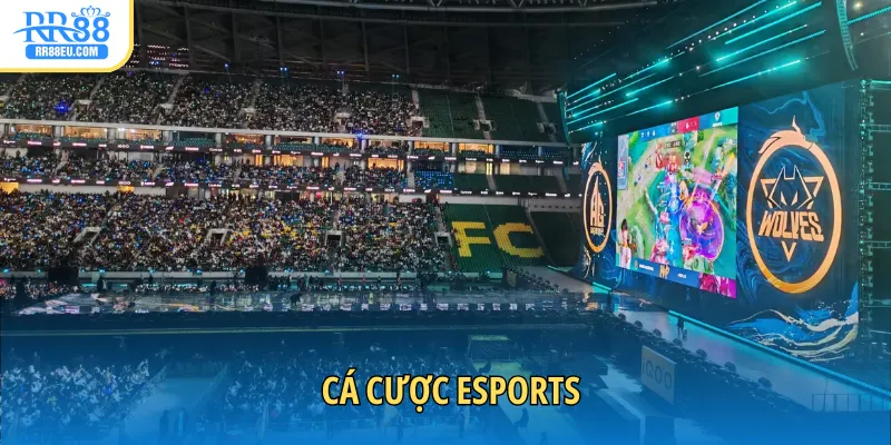 cá cược esports
