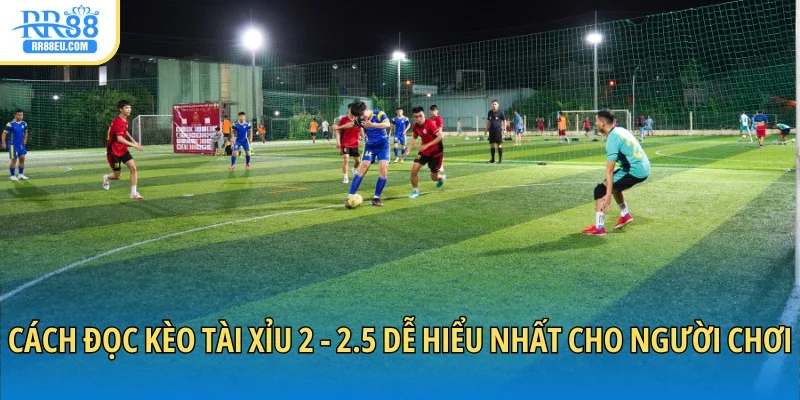 Cách đọc kèo tài xỉu 2 - 2.5 dễ hiểu nhất cho người chơi