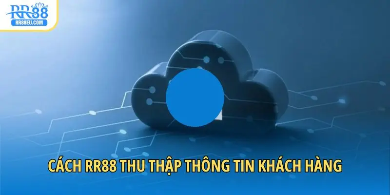 Cách RR88 thu thập thông tin khách hàng
