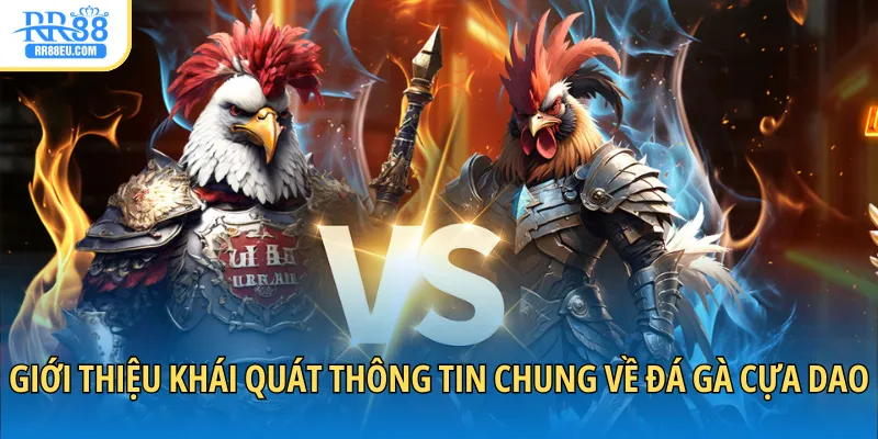 Giới thiệu khái quát thông tin chung về đá gà cựa dao