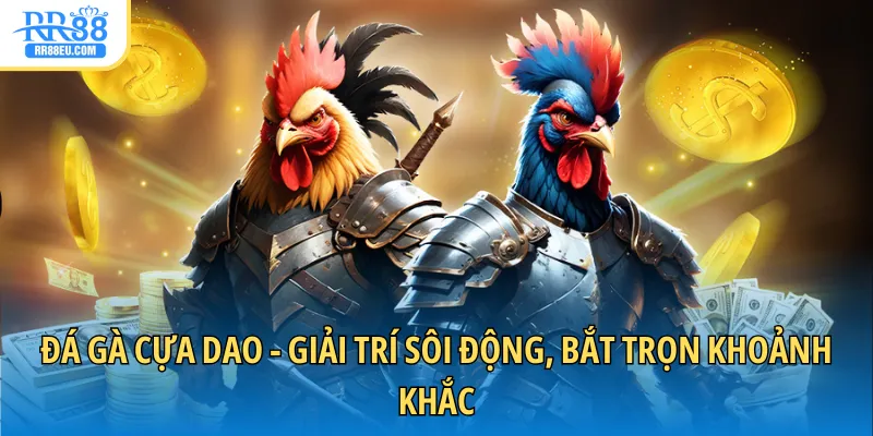đá gà cựa dao