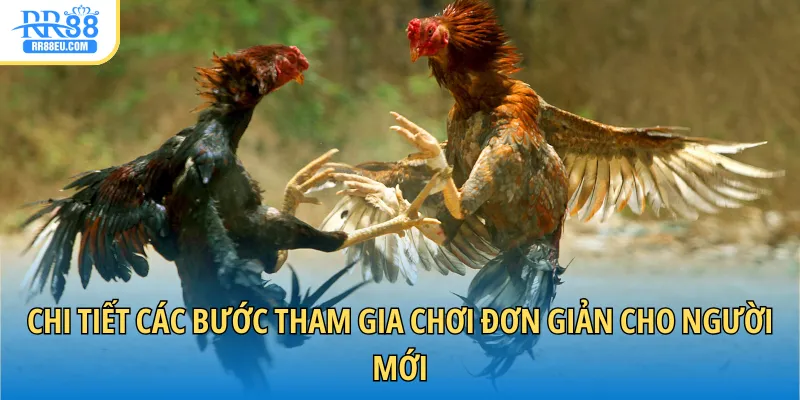 Chi tiết các bước tham gia chơi đơn giản cho người mới