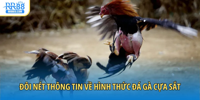 Đôi nét thông tin về hình thức đá gà cựa sắt