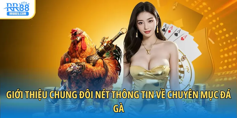 Giới thiệu chung đôi nét thông tin về chuyên mục đá gà