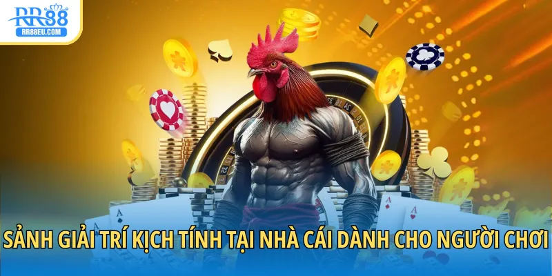 Sảnh giải trí kịch tính tại nhà cái dành cho người chơi
