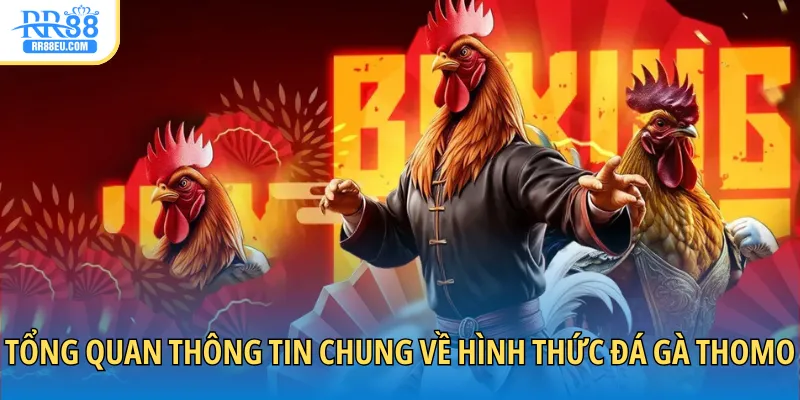 Tổng quan thông tin chung về hình thức đá gà Thomo