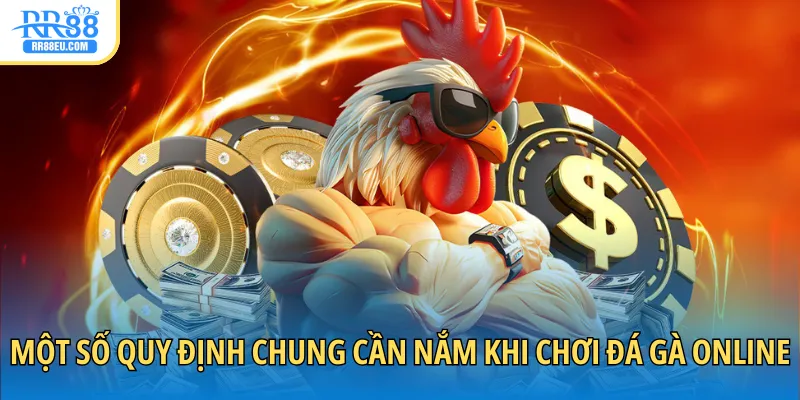 Một số quy định chung cần nắm khi chơi đá gà online