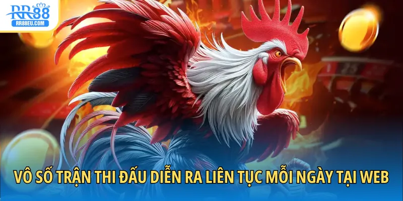 Vô số trận thi đấu diễn ra liên tục mỗi ngày tại web