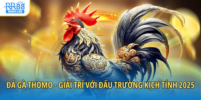 đá gà Thomo