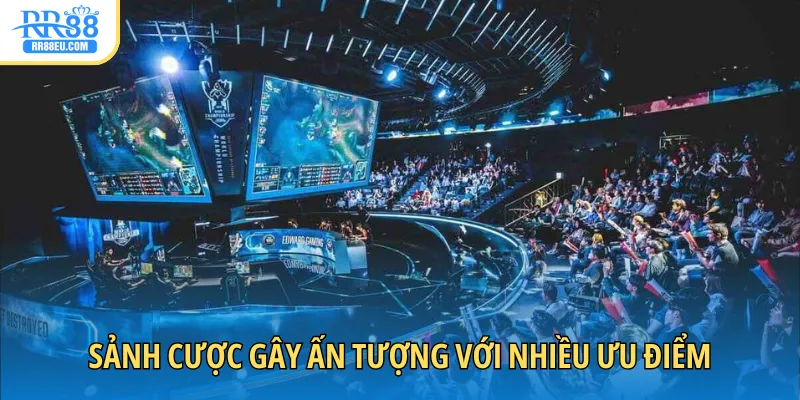 Sảnh cược gây ấn tượng với nhiều ưu điểm