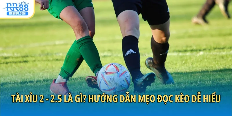 Tài xỉu 2 - 2.5 là gì
